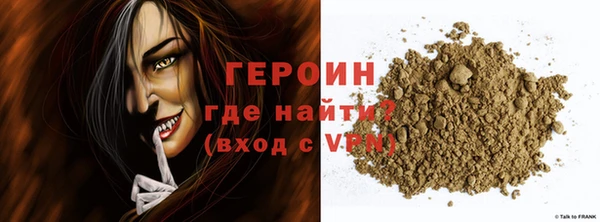 амф Гусев