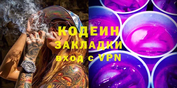 дурь Анива