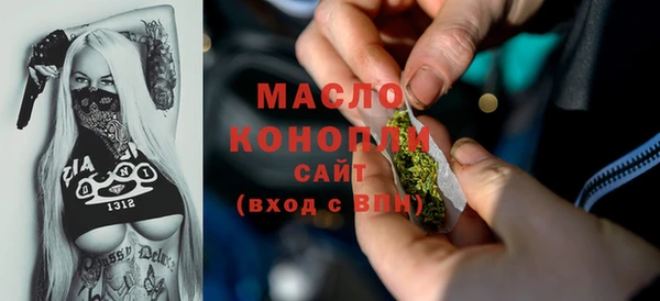 амф Гусев