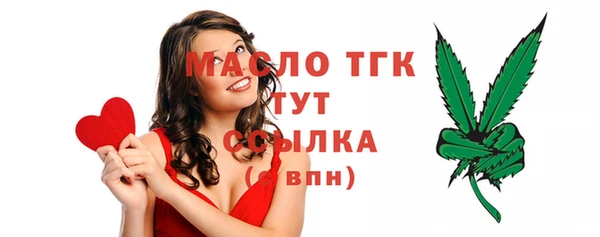 амф Гусев