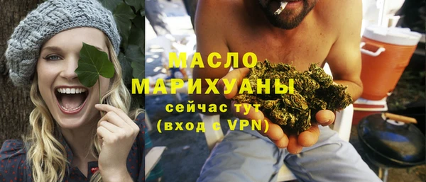 амф Гусев