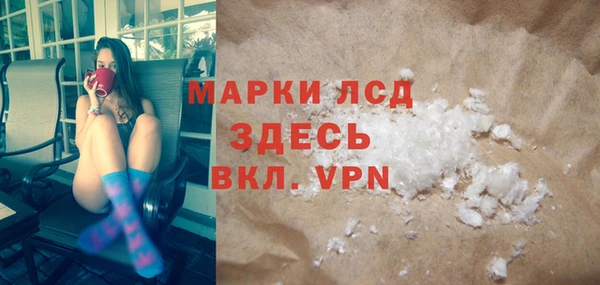 амф Гусев