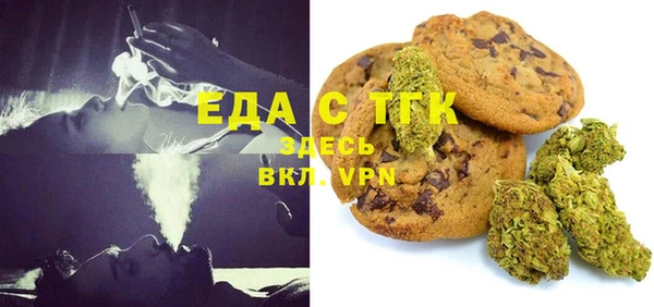 амф Гусев