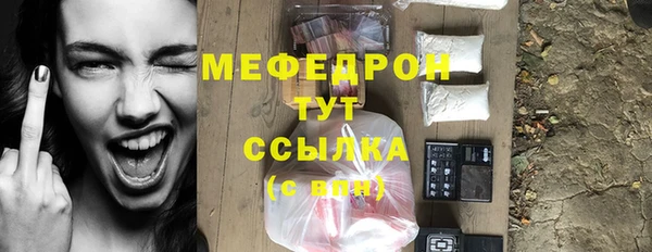 амф Гусев