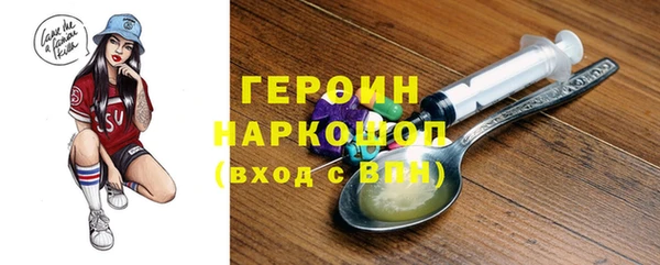 амф Гусев