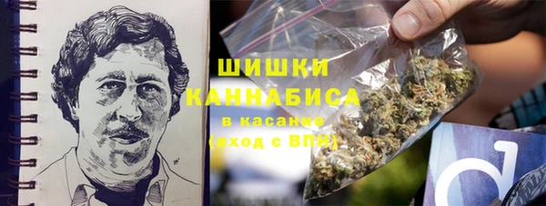 амф Гусев