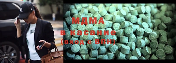амф Гусев