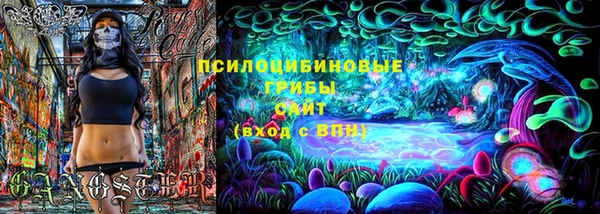кристаллы Гусь-Хрустальный