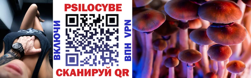Галлюциногенные грибы Psilocybe  гидра сайт  Заволжье 